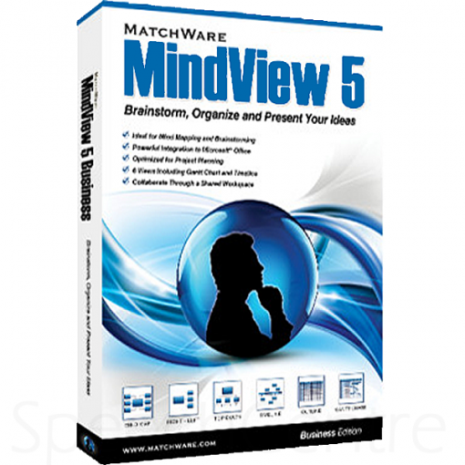mindview 5 business